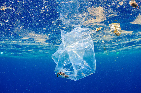 OBP海洋塑料认证有哪些好处