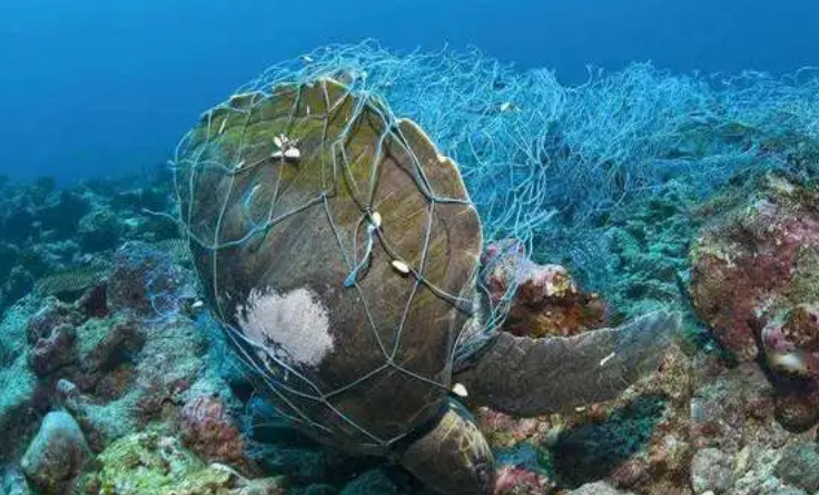 OBP海洋塑料认证有哪些要求